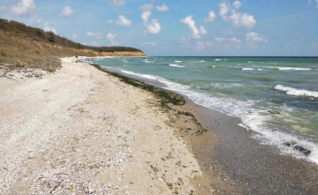 Фото Durankulak beach с золотой ракушечник поверхностью