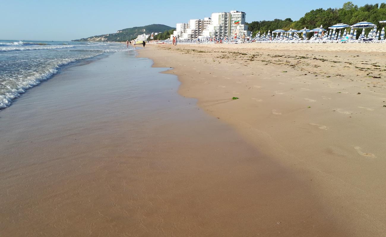 Фото Albena beach с золотистый песок поверхностью