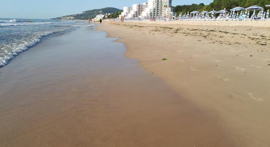 Albena beach