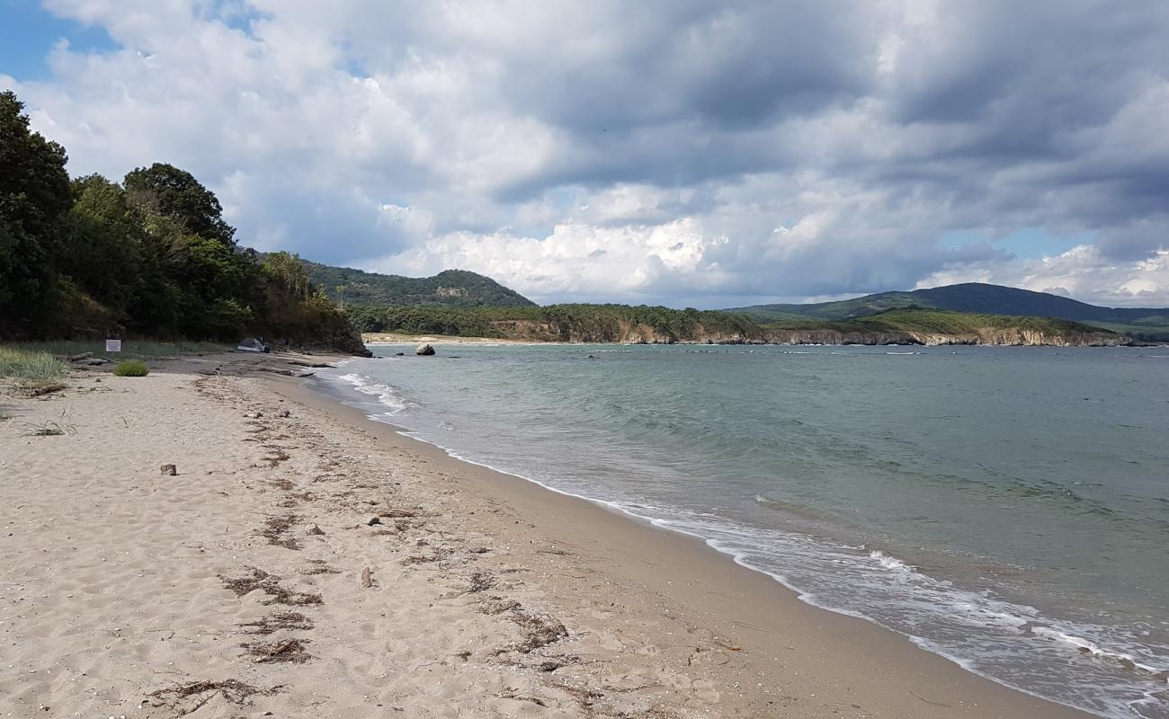 Фото Ropotamo beach с светлый песок поверхностью