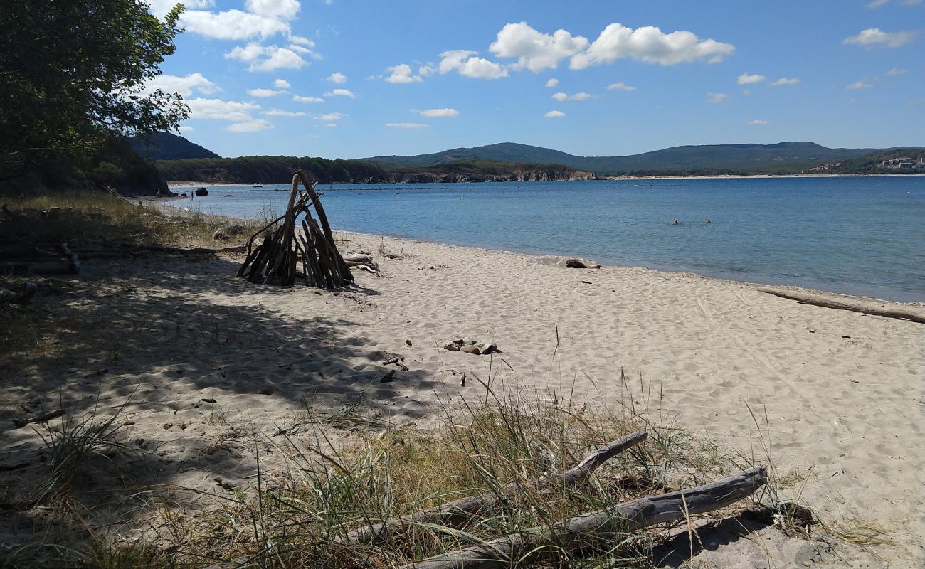 Фото Small Shady beach с светлый песок поверхностью