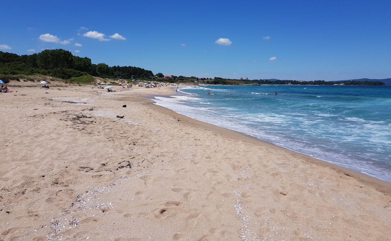 Фото Coral beach с светлый песок поверхностью