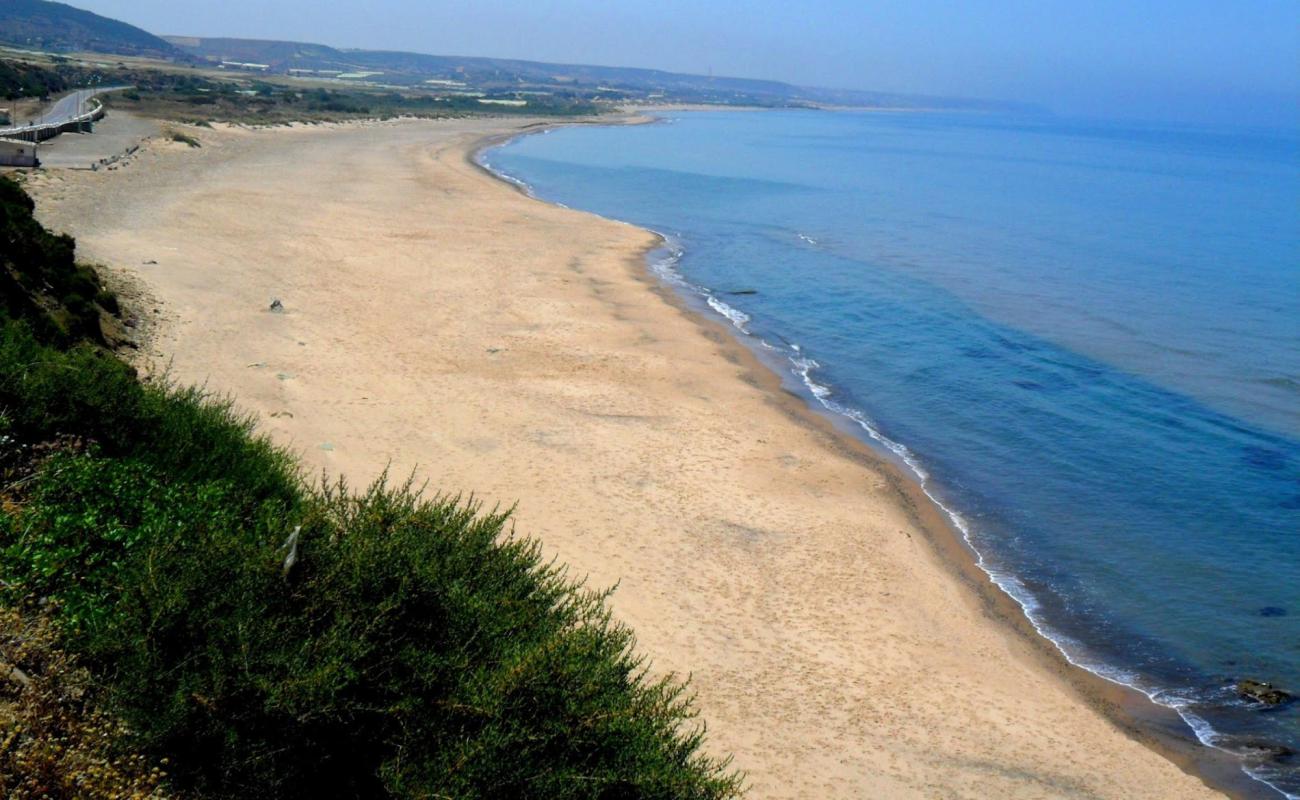 Фото Dashria beach с светлый песок поверхностью