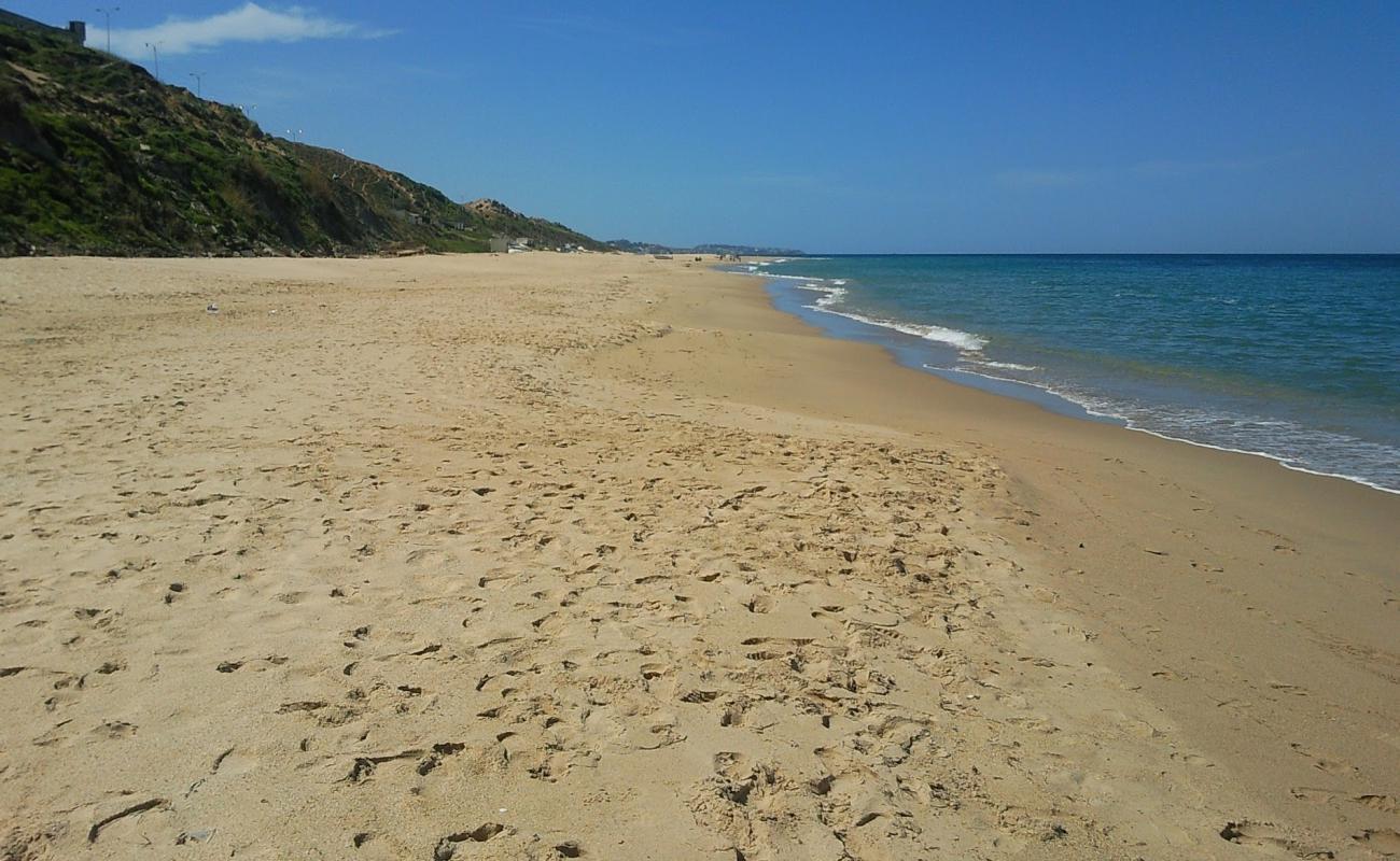 Фото Reghaia beach с золотистый песок поверхностью