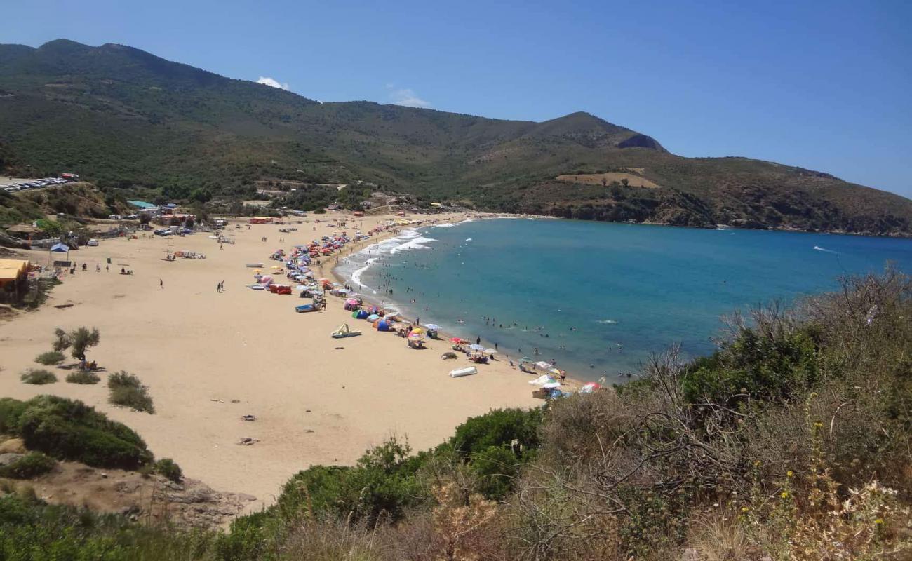 Фото Plage Djenen El Bey wad bwqrat( La grande Plage ) с серый чистый песок поверхностью