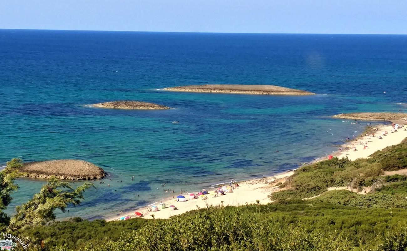 Фото Plage Laouinette с светлый песок поверхностью