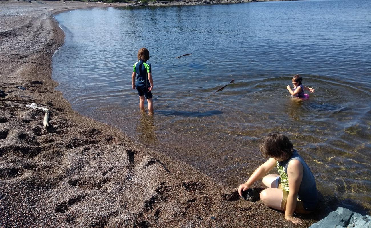 Фото Government Dock Beach с серая чистая галька поверхностью