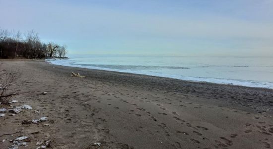 Hillman Marsh Beach