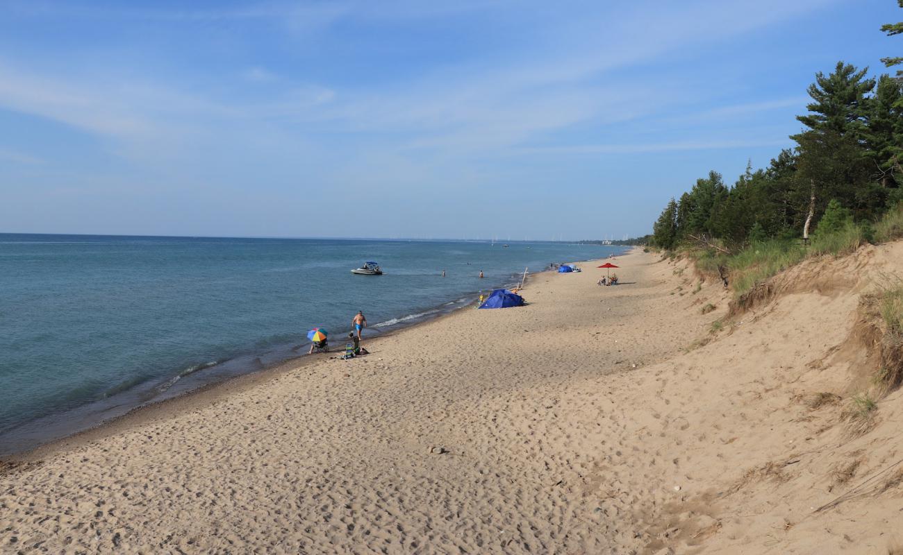 Фото Pinery Dog Beach с светлый песок поверхностью