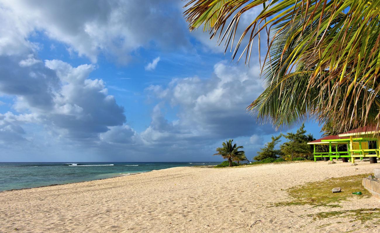 Фото Bodden Town beach с золотистый песок поверхностью