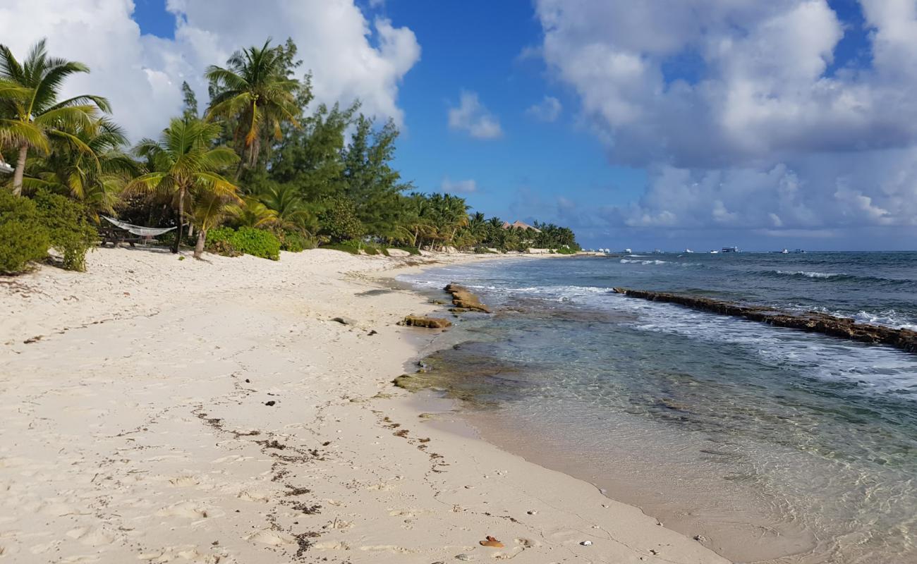 Фото South Sound beach с золотистый песок поверхностью