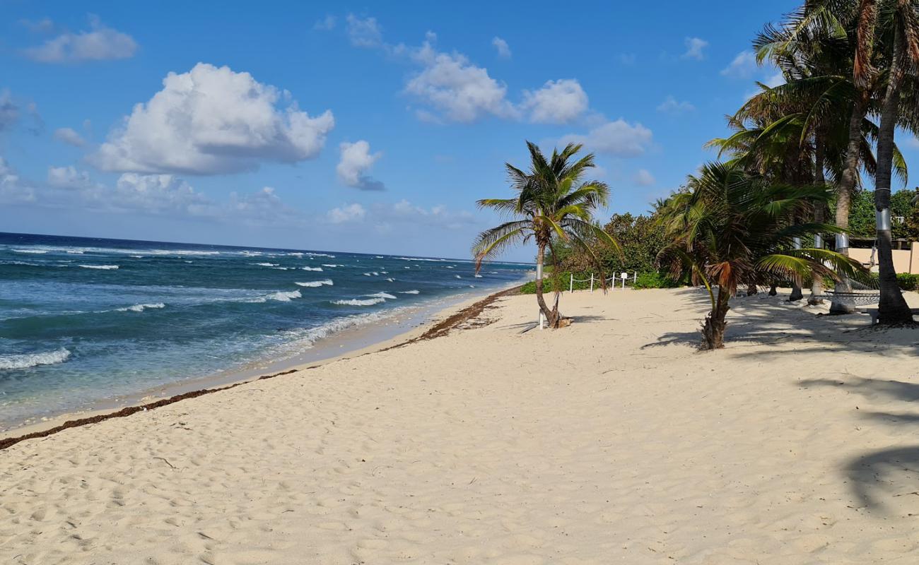 Фото Conch Point beach с черная чистая галька поверхностью