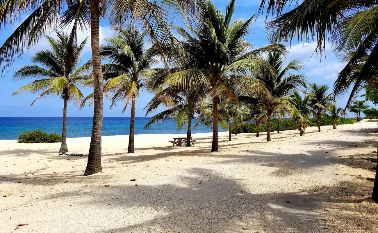 Фото White Bay beach с золотистый песок поверхностью