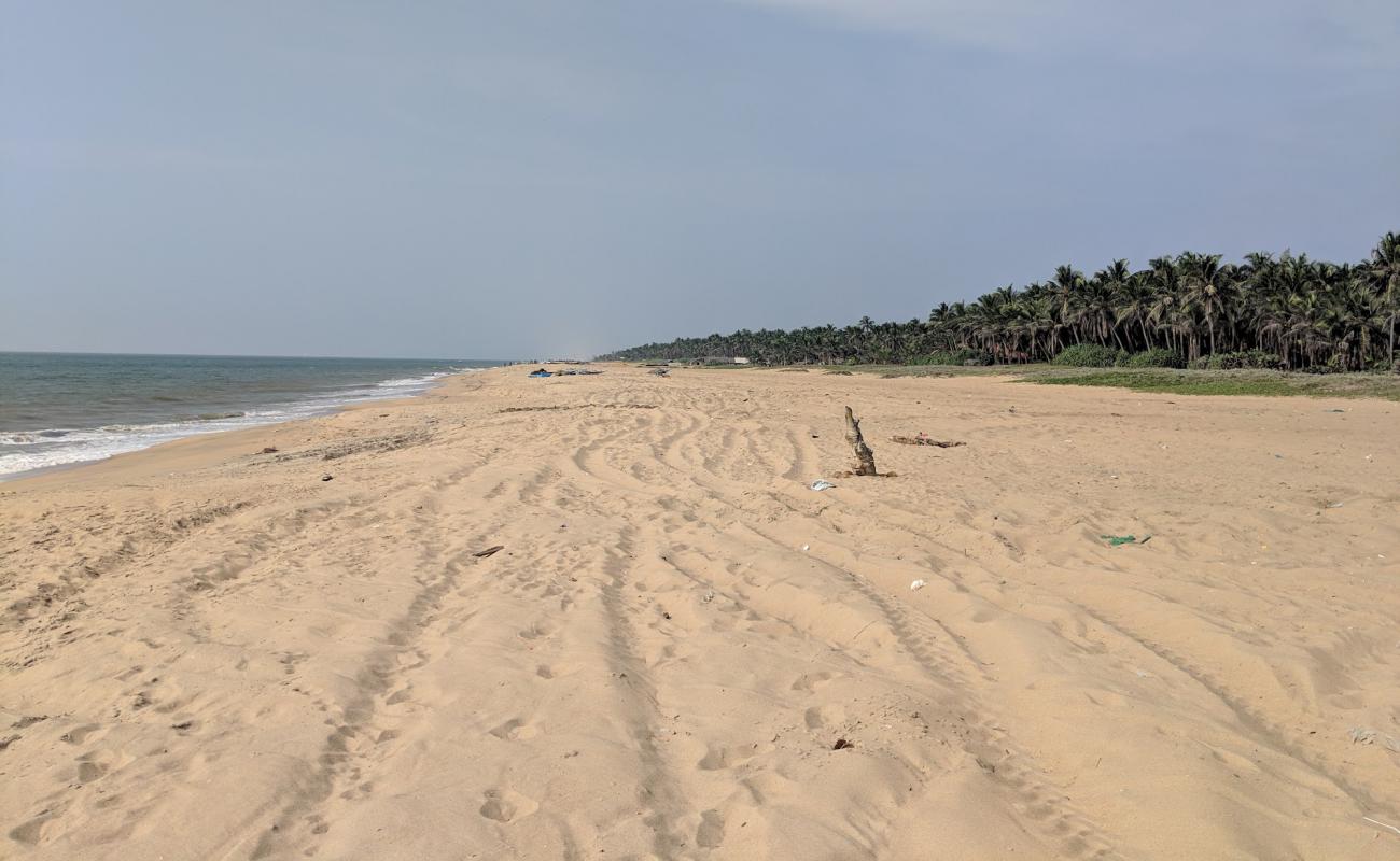 Фото Udappuwa Beach с светлый песок поверхностью