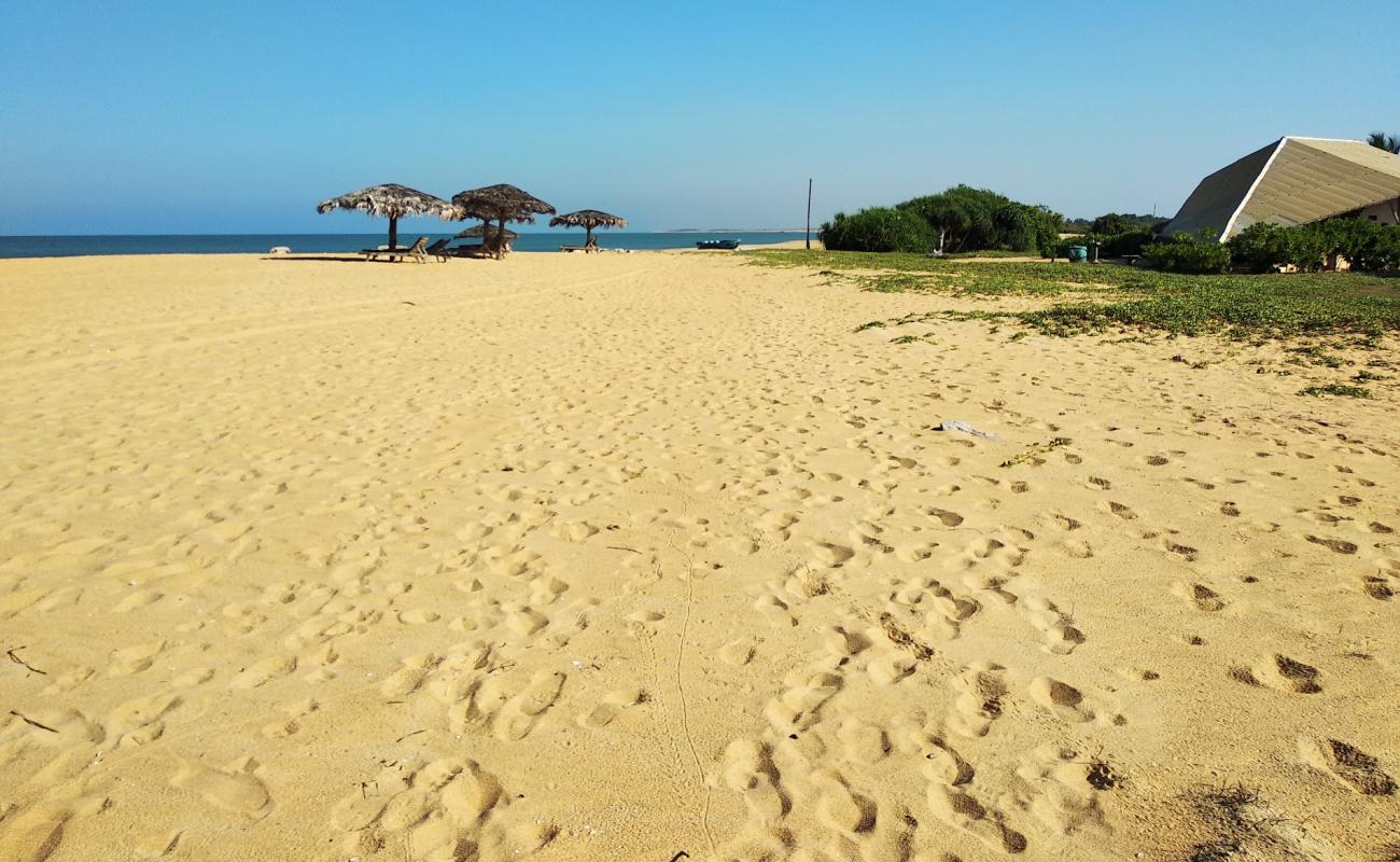 Фото Thalawila Beach с светлый песок поверхностью