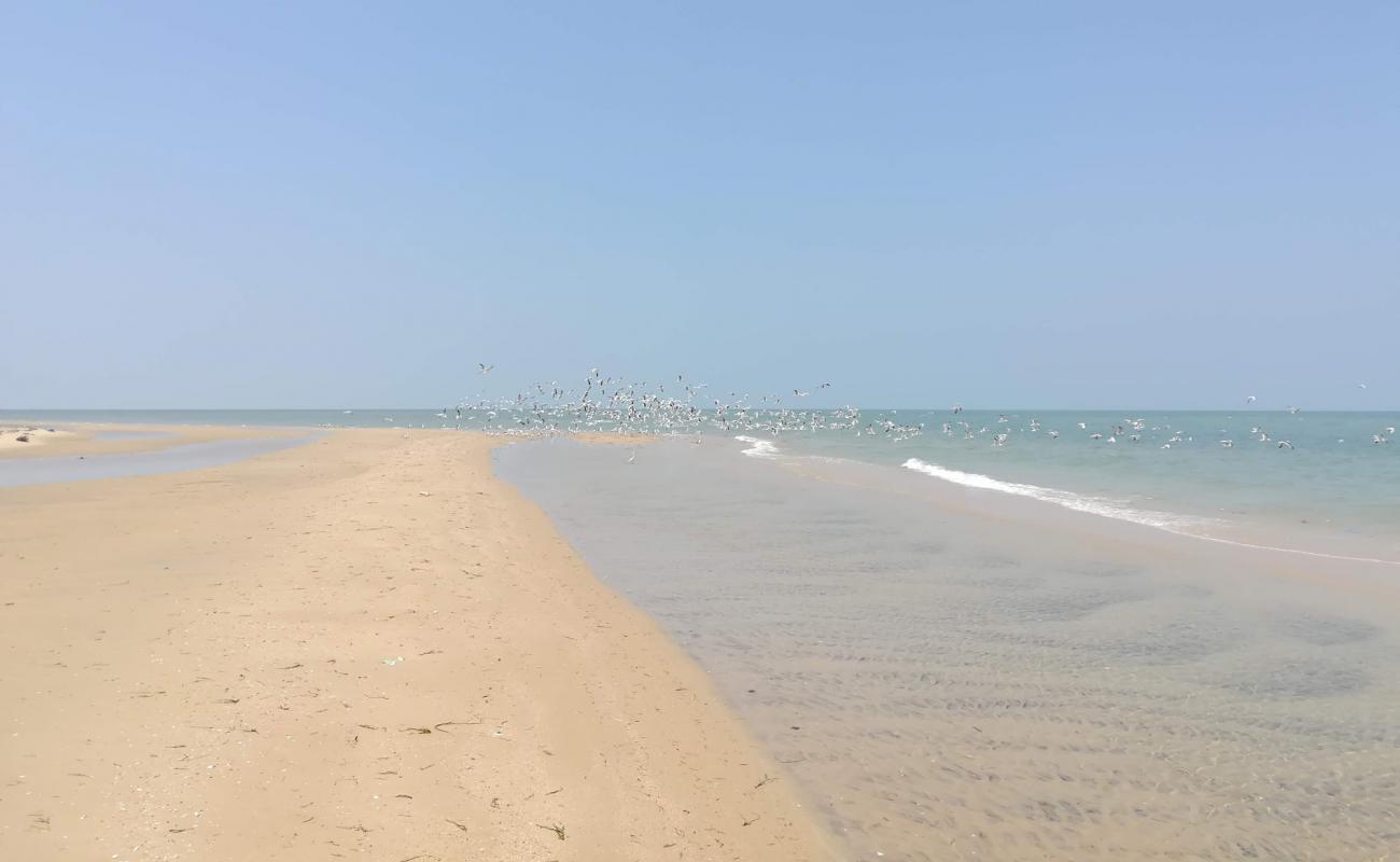 Фото Talaimannar beach с светлый песок поверхностью