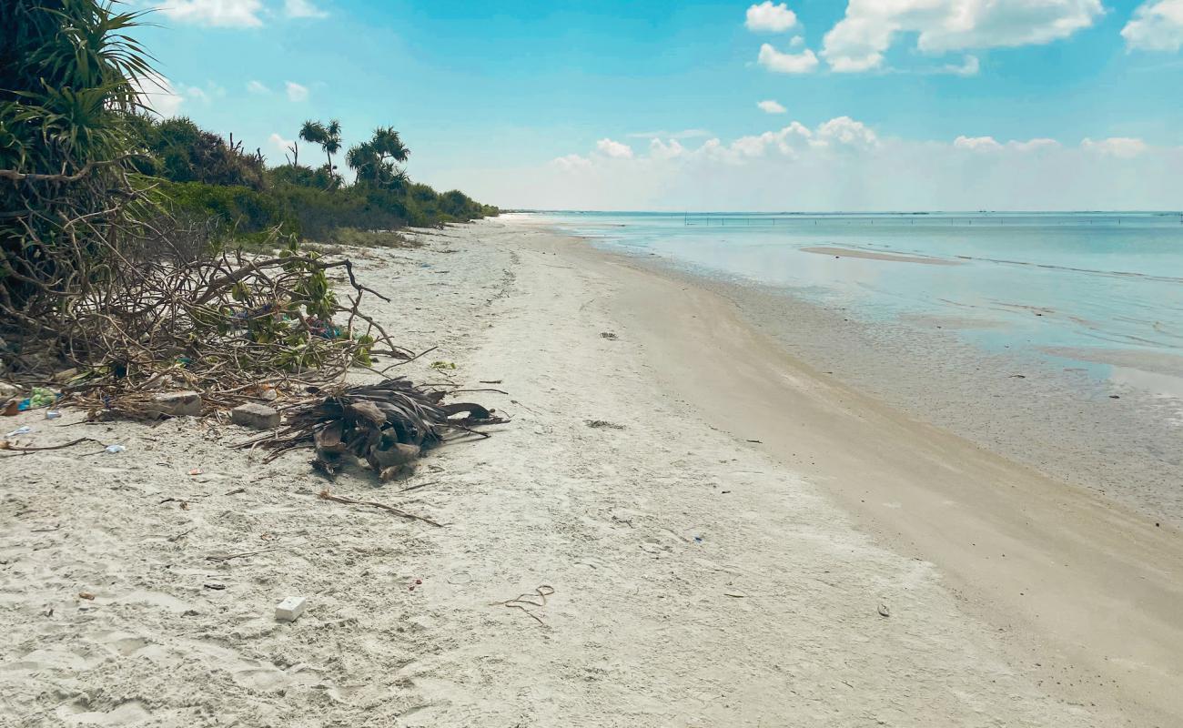 Фото Kallady Beach с светлый песок поверхностью