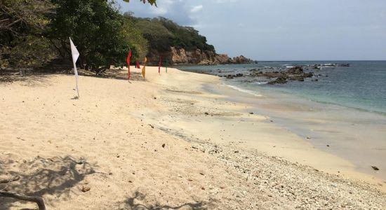 Coral Cove Beach