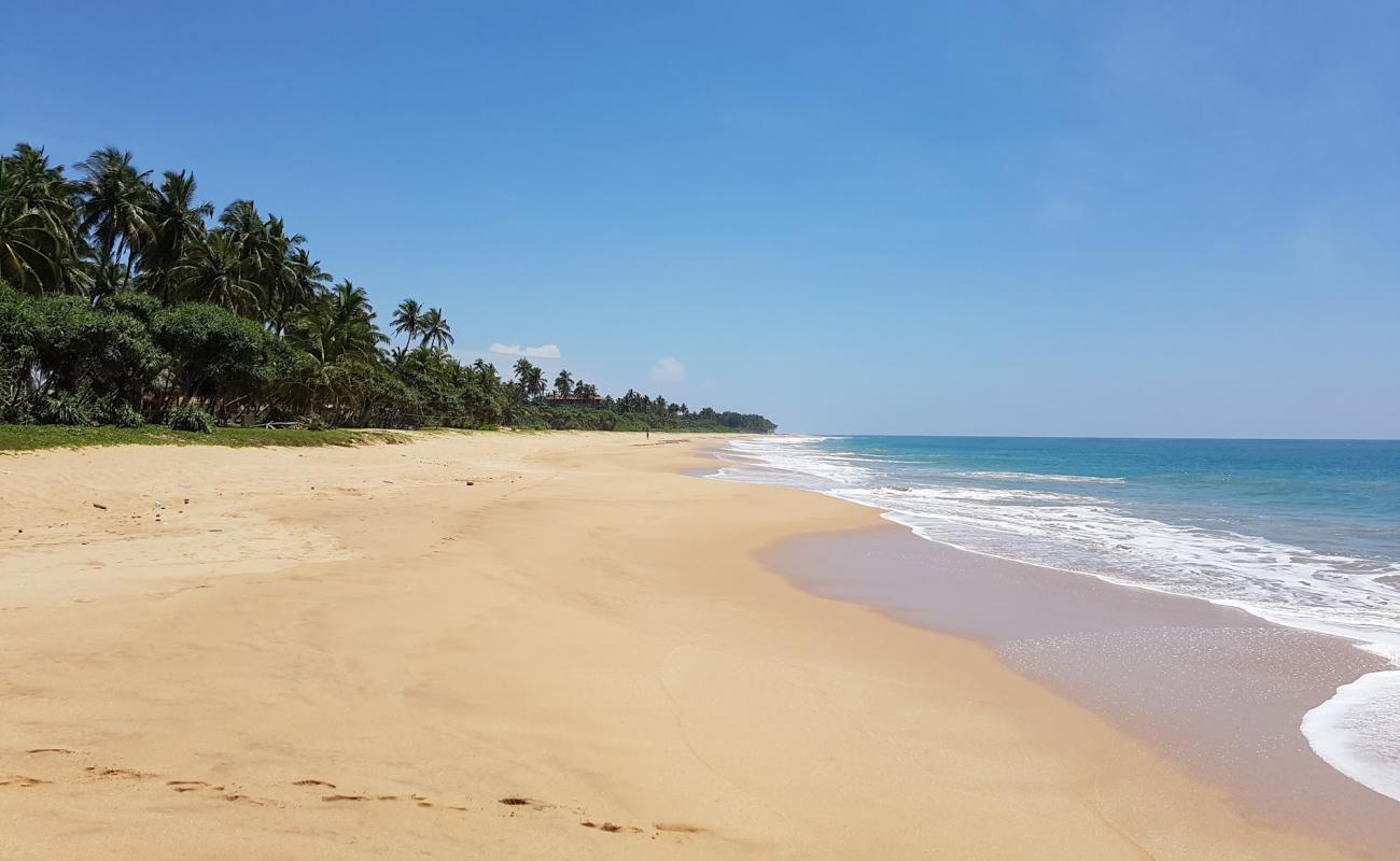 Фото Wella Odaya Beach с светлый песок поверхностью