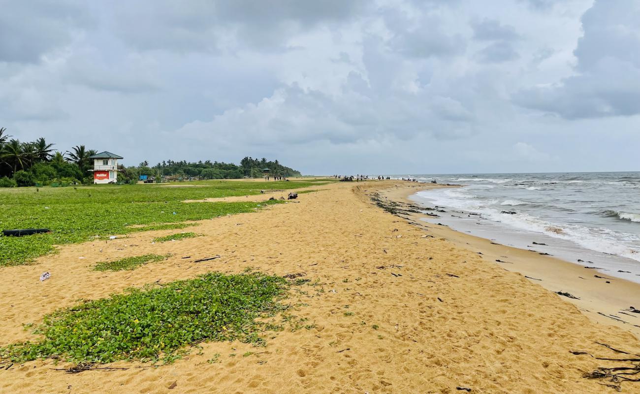 Фото Panadura Beach с светлый песок поверхностью