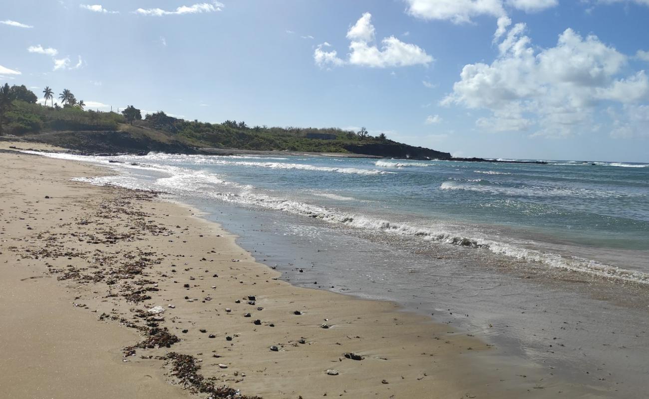 Фото Ivoini Beach с светлый песок поверхностью