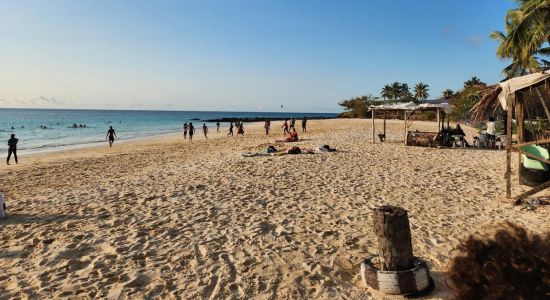 Planete Plage