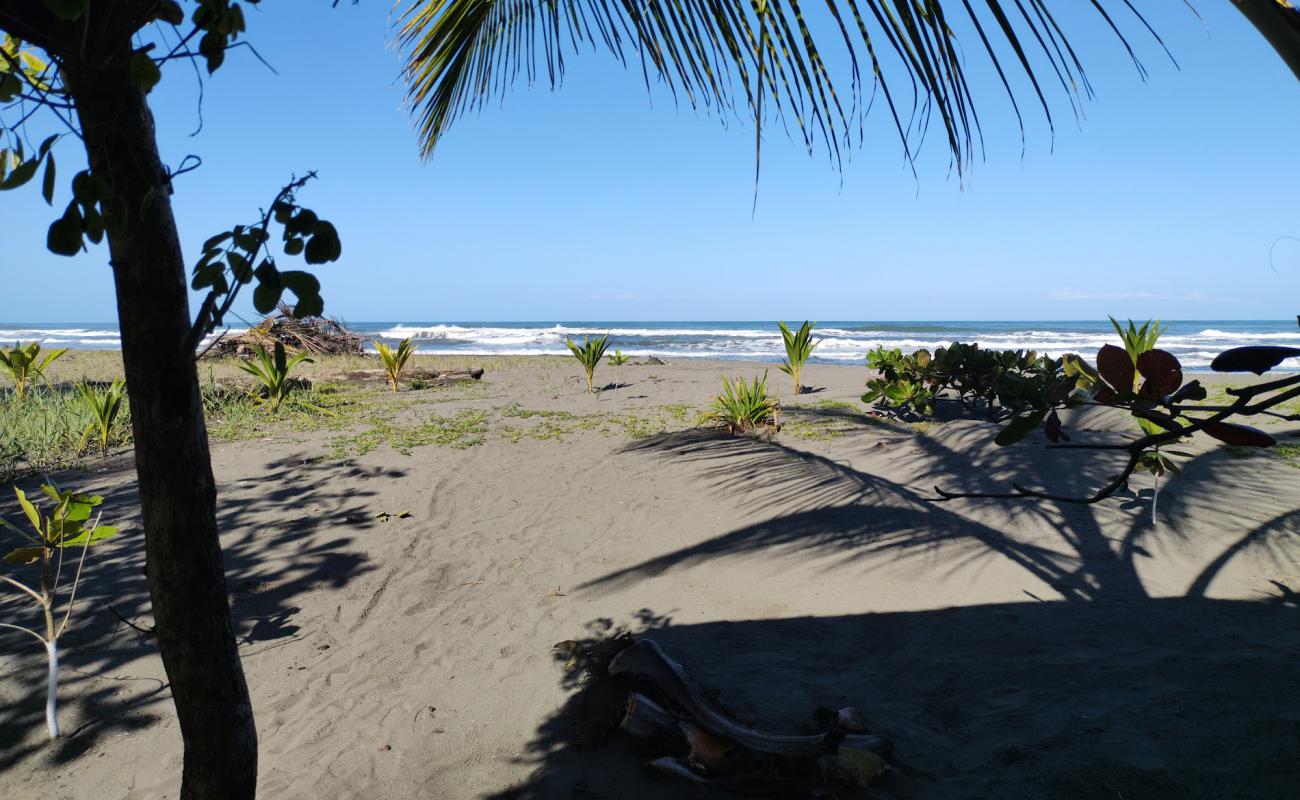 Фото Playa Bananito с серый песок поверхностью