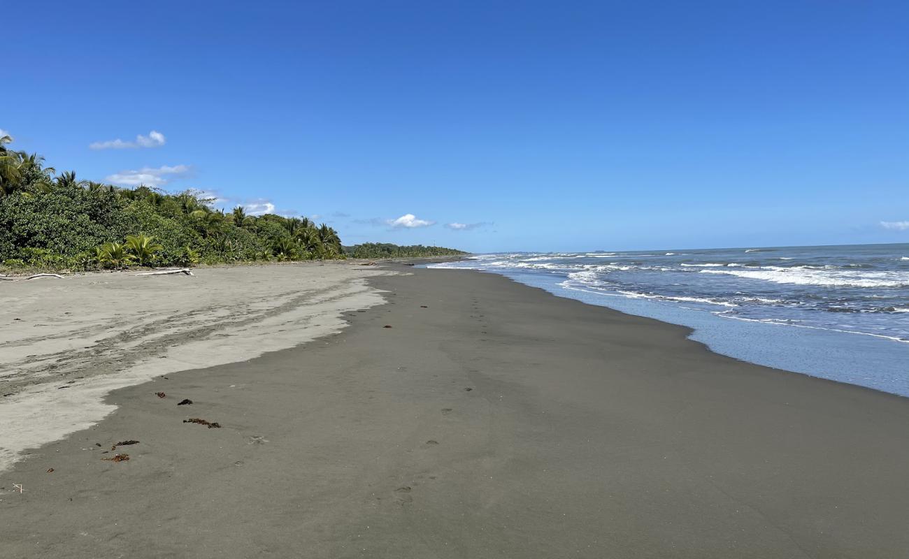 Фото Palmeras beach с серый песок поверхностью