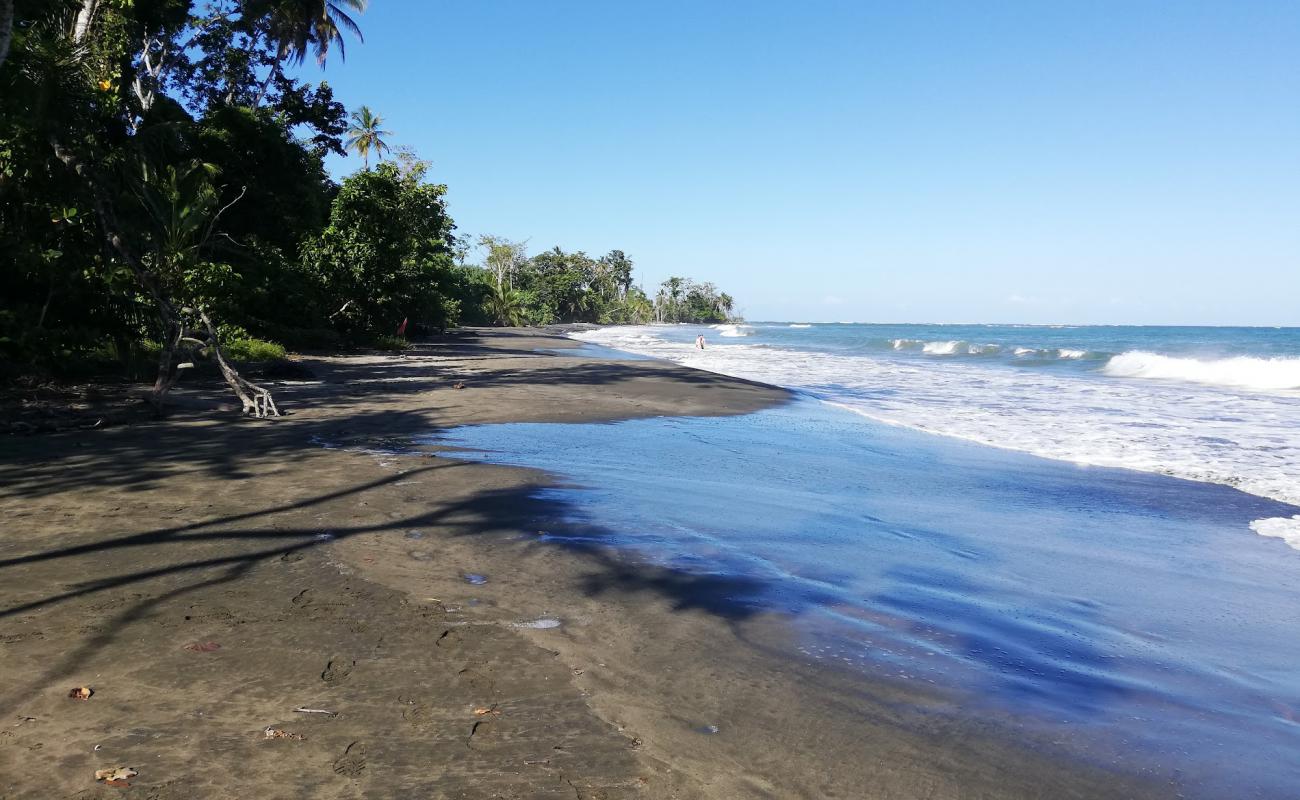 Фото Puerto Viejo beach с светлый песок поверхностью