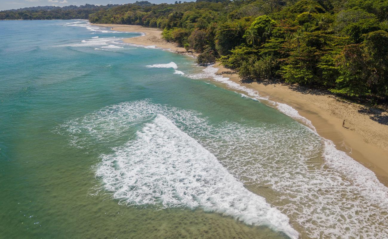 Фото Cocles beach с светлый песок поверхностью