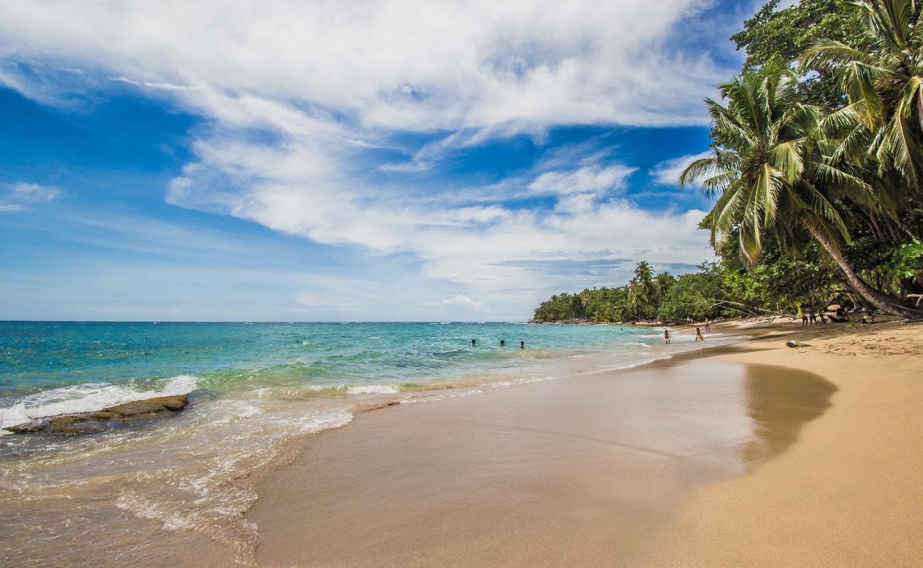 Фото Punta Uva beach с золотистый песок поверхностью