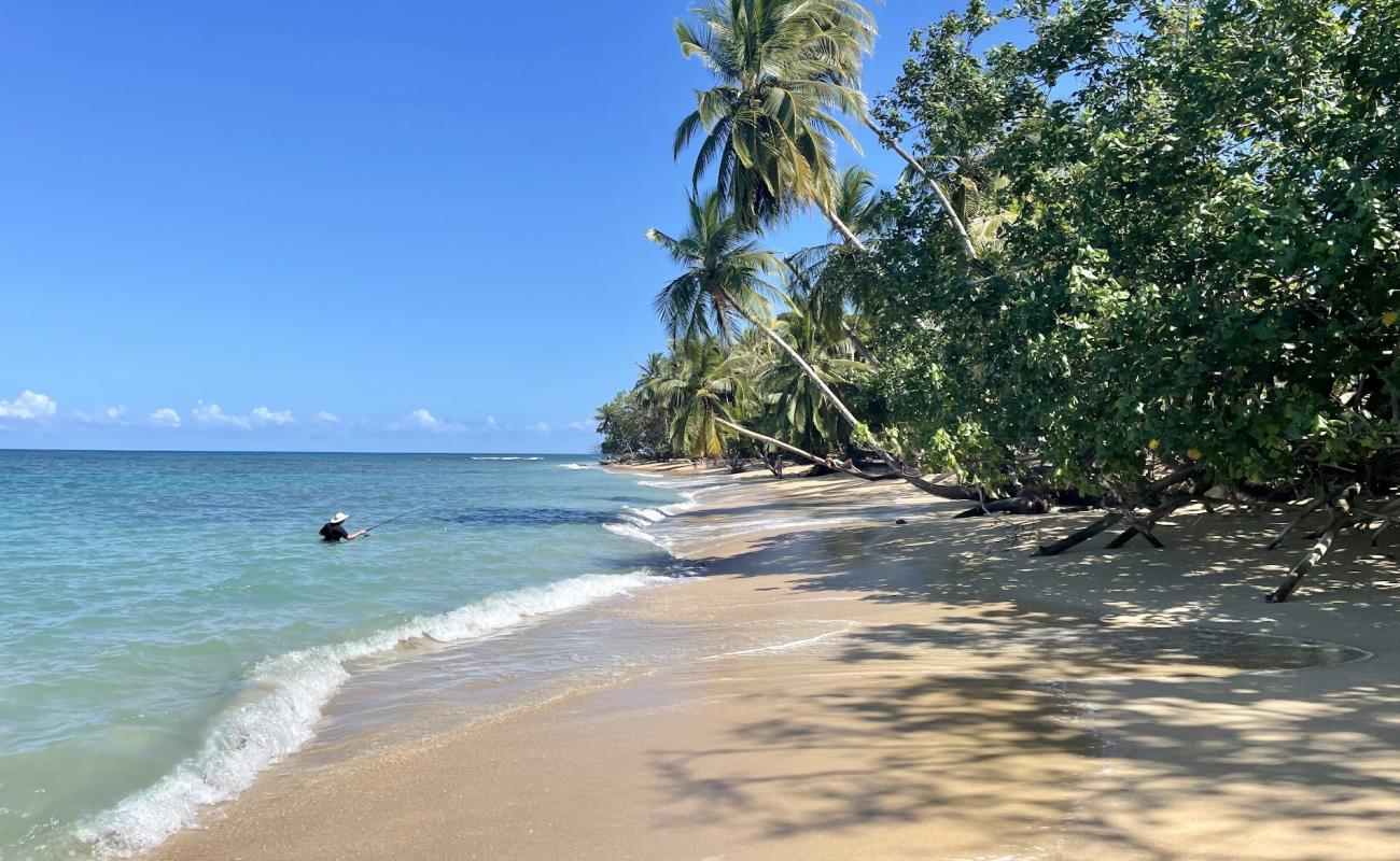 Фото Punta Uva II beach с золотистый песок поверхностью