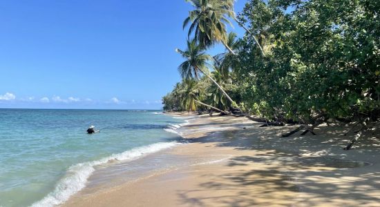 Punta Uva II beach