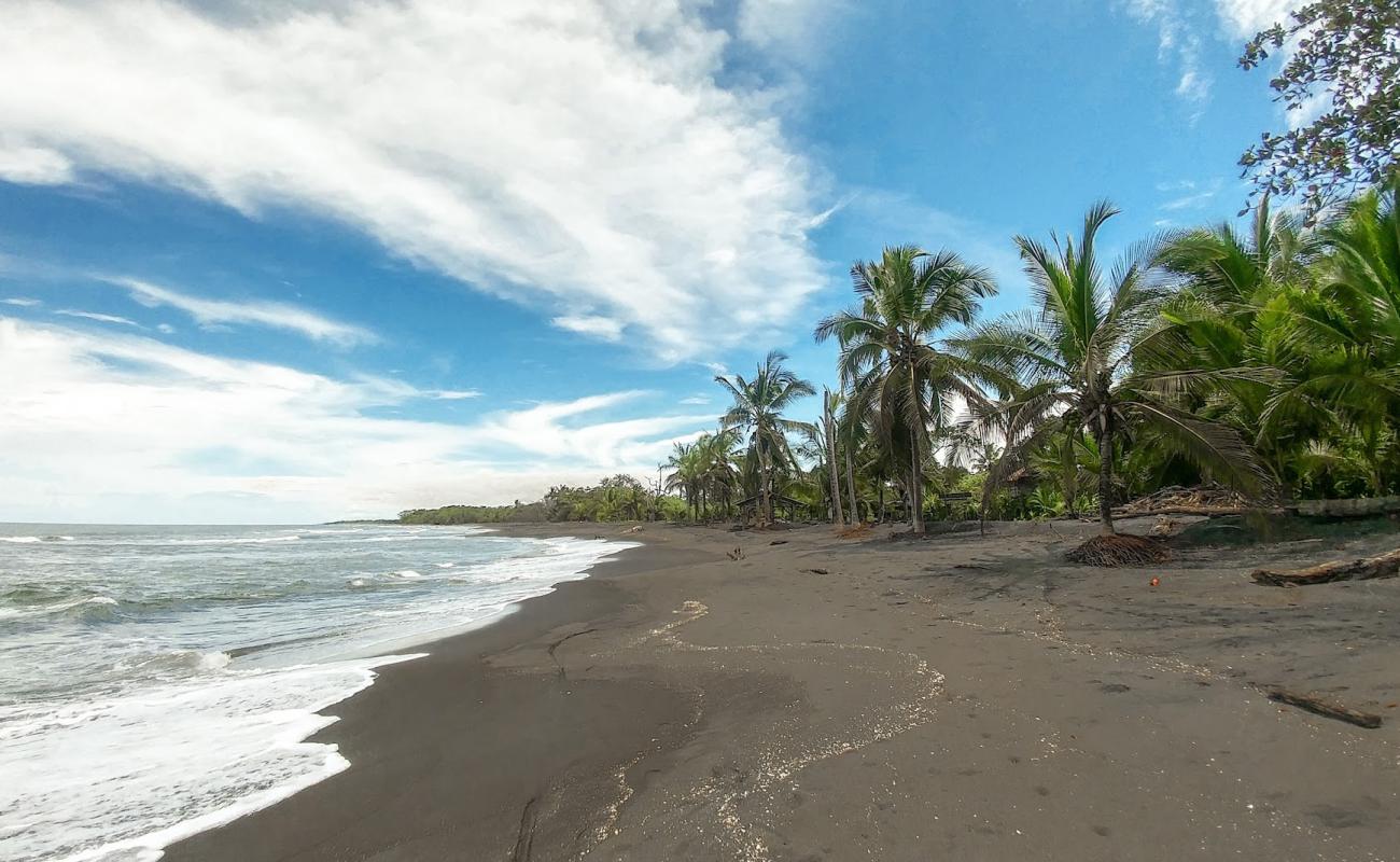 Фото Gandoca beach с черный песок поверхностью