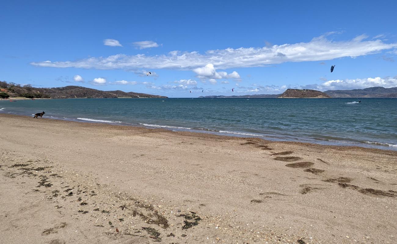 Фото Copal beach с золотой ракушечник поверхностью