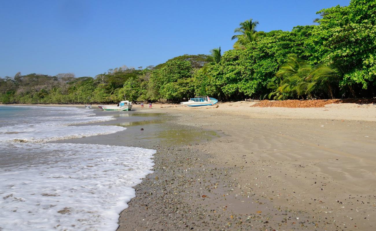 Фото Manzanillo Beach с светлый песок поверхностью