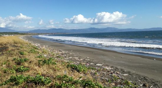 Playa Guacalillo