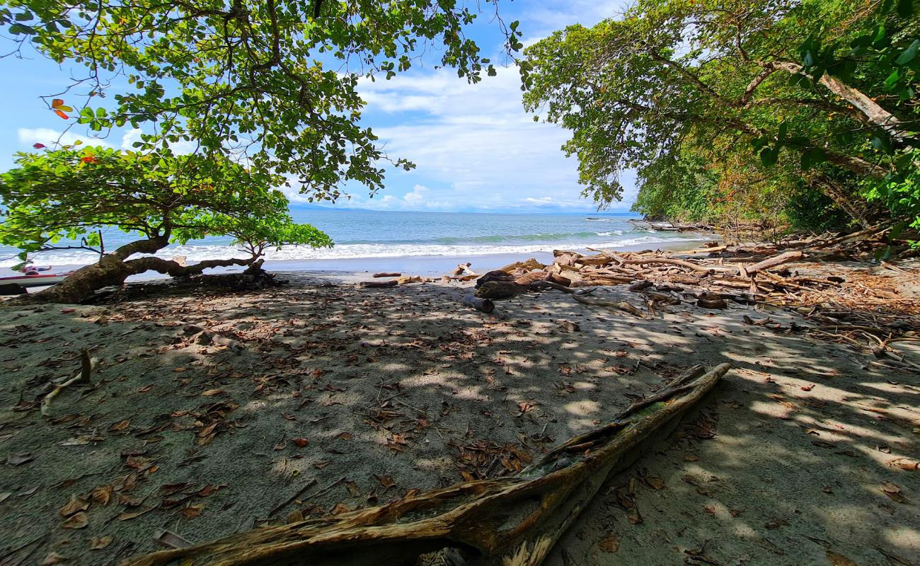 Фото Playa Limoncito с светлый песок поверхностью