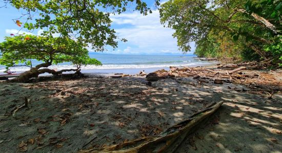 Playa Limoncito