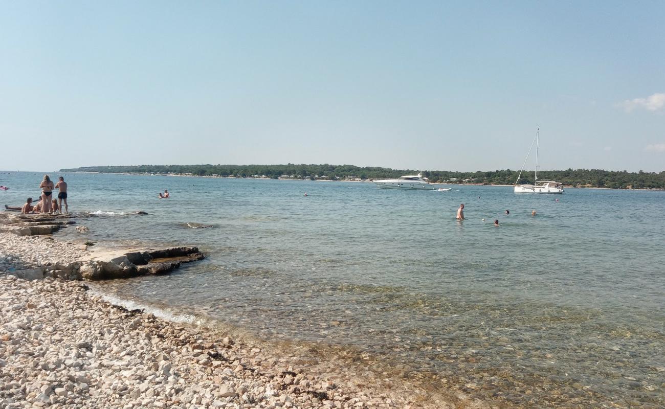 Фото Porat beach с светлая галька поверхностью