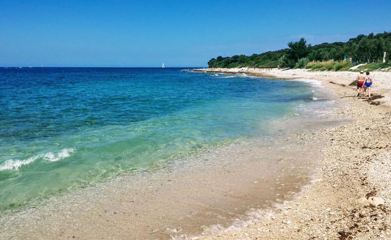 Фото Castelan beach с светлая галька поверхностью