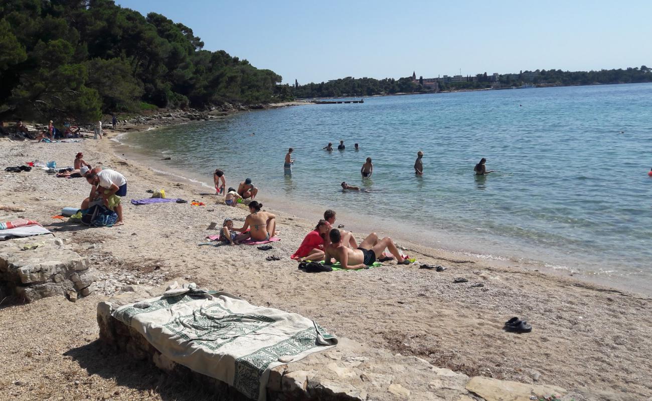 Фото beach Rovinj II с камни поверхностью