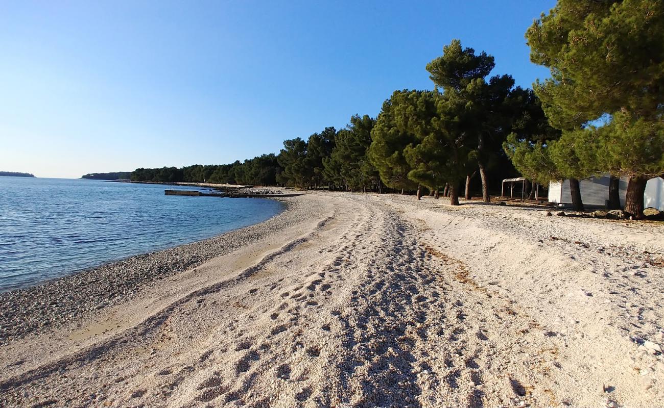 Фото Cuvi beach II с светлая галька поверхностью