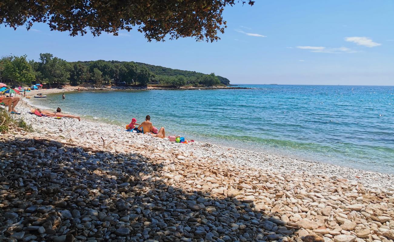 Фото Cisterna beach с белая галька поверхностью