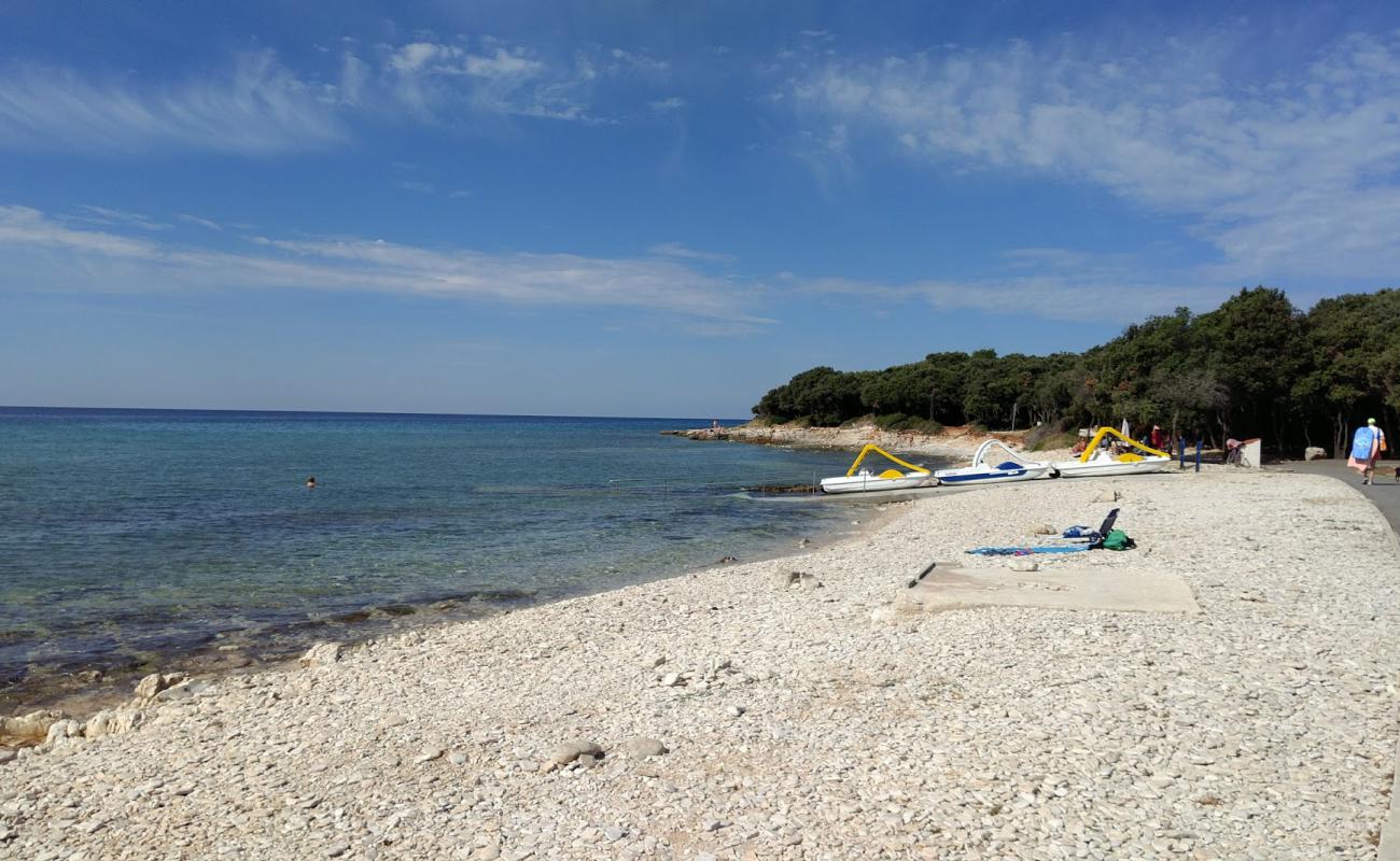 Фото Barbariga beach с камни поверхностью