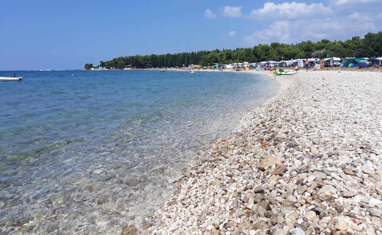 Фото AC Pineta beach с светлая галька поверхностью