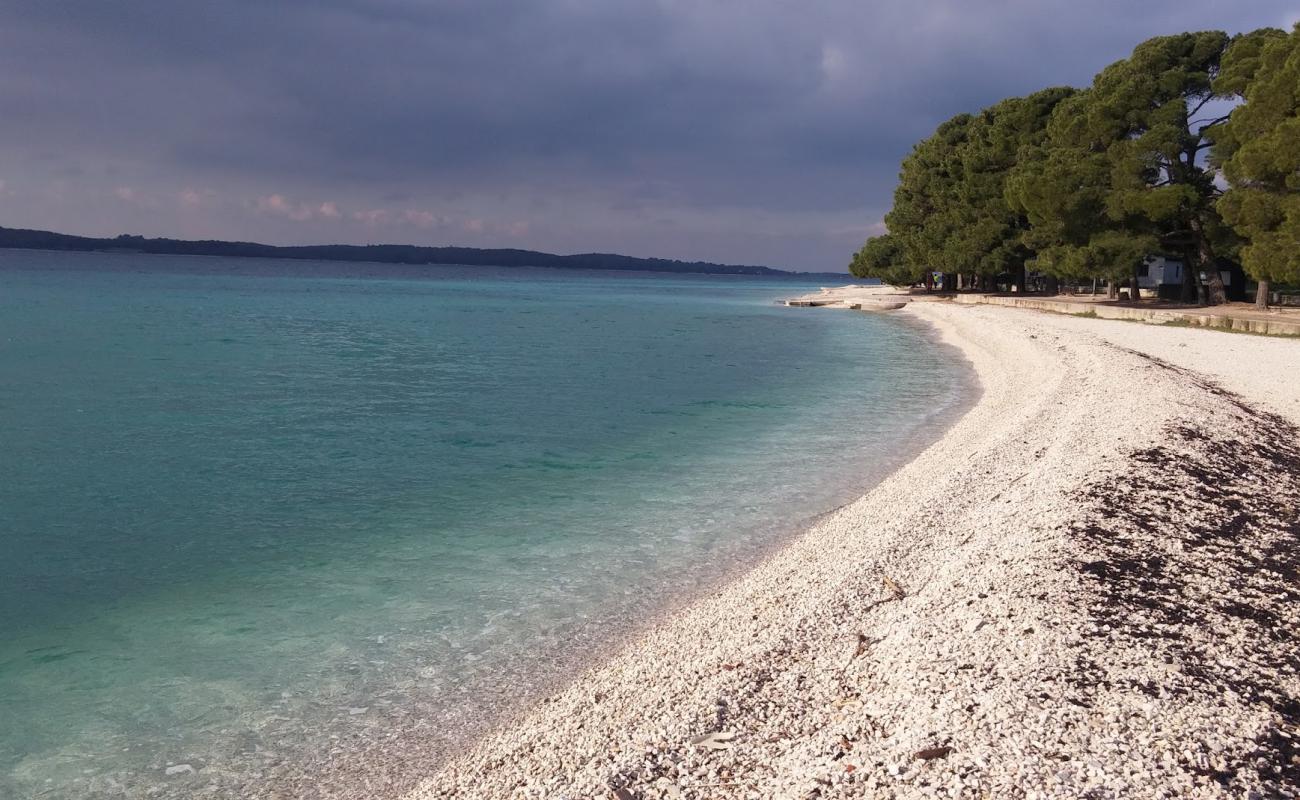 Фото Fazana beach с белая чистая галька поверхностью