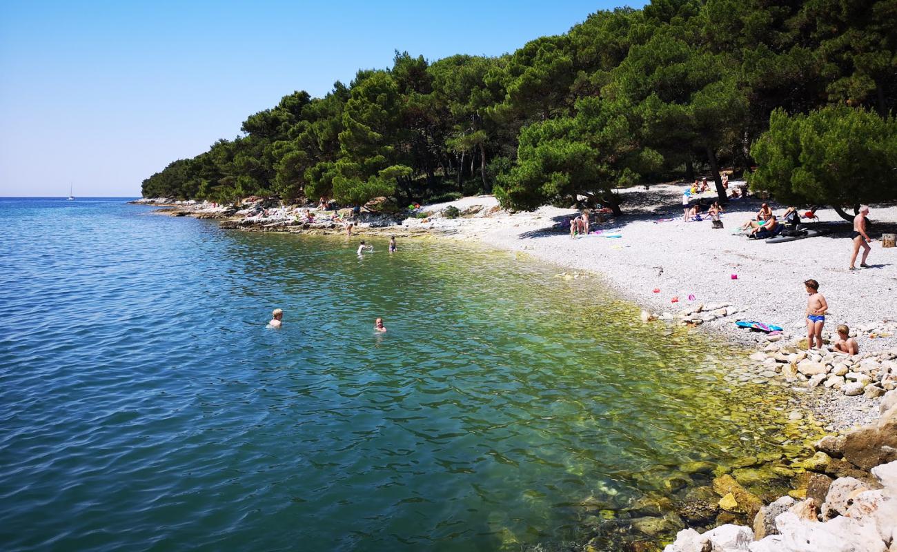 Фото Paltana beach с серая галька поверхностью