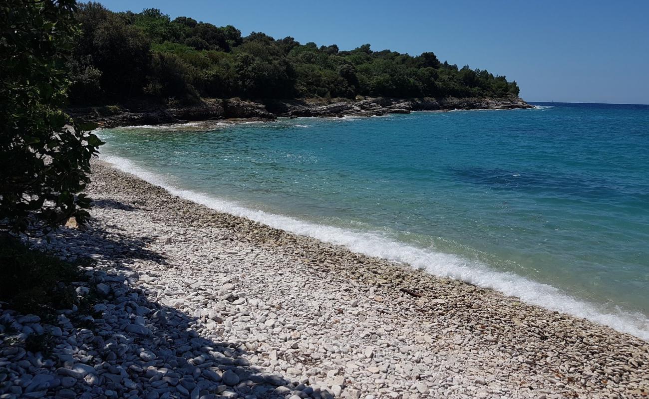 Фото Polje beach с камни поверхностью