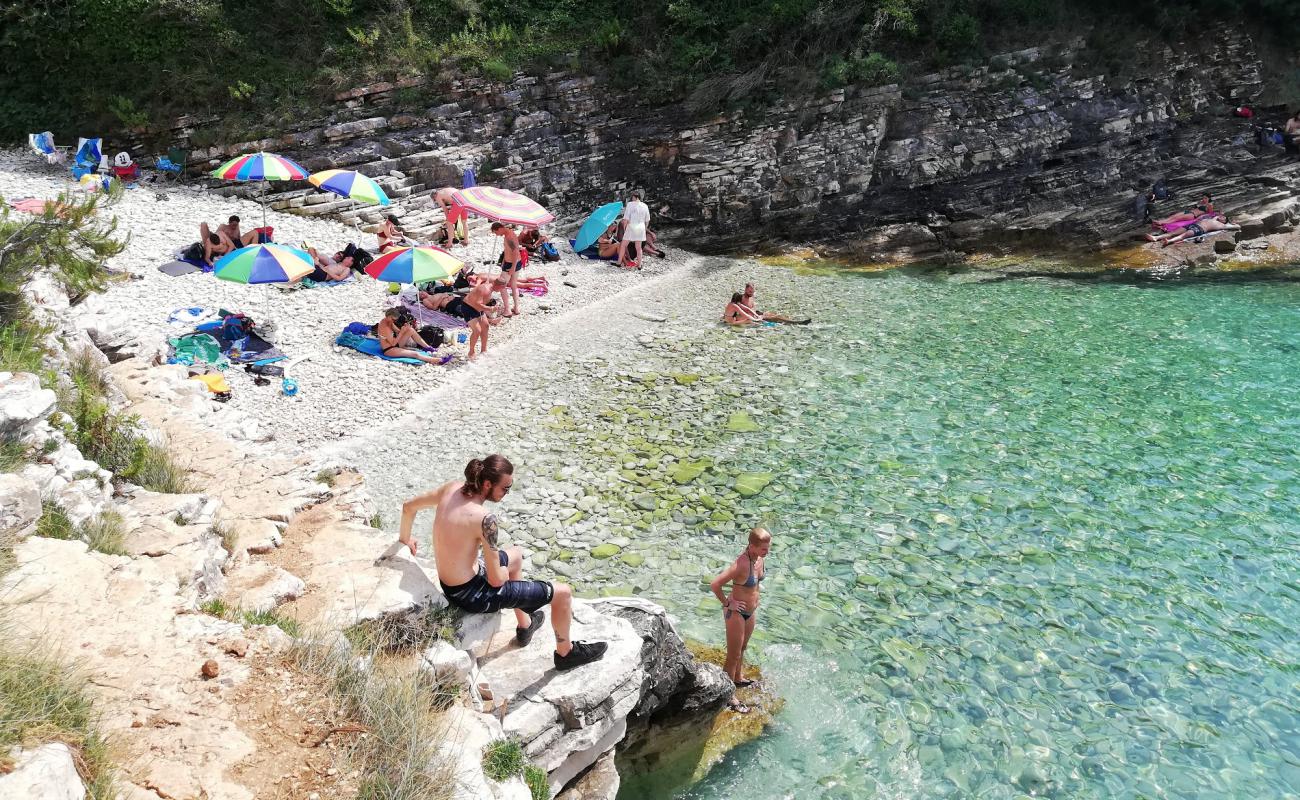 Фото Radovica beach с светлая галька поверхностью